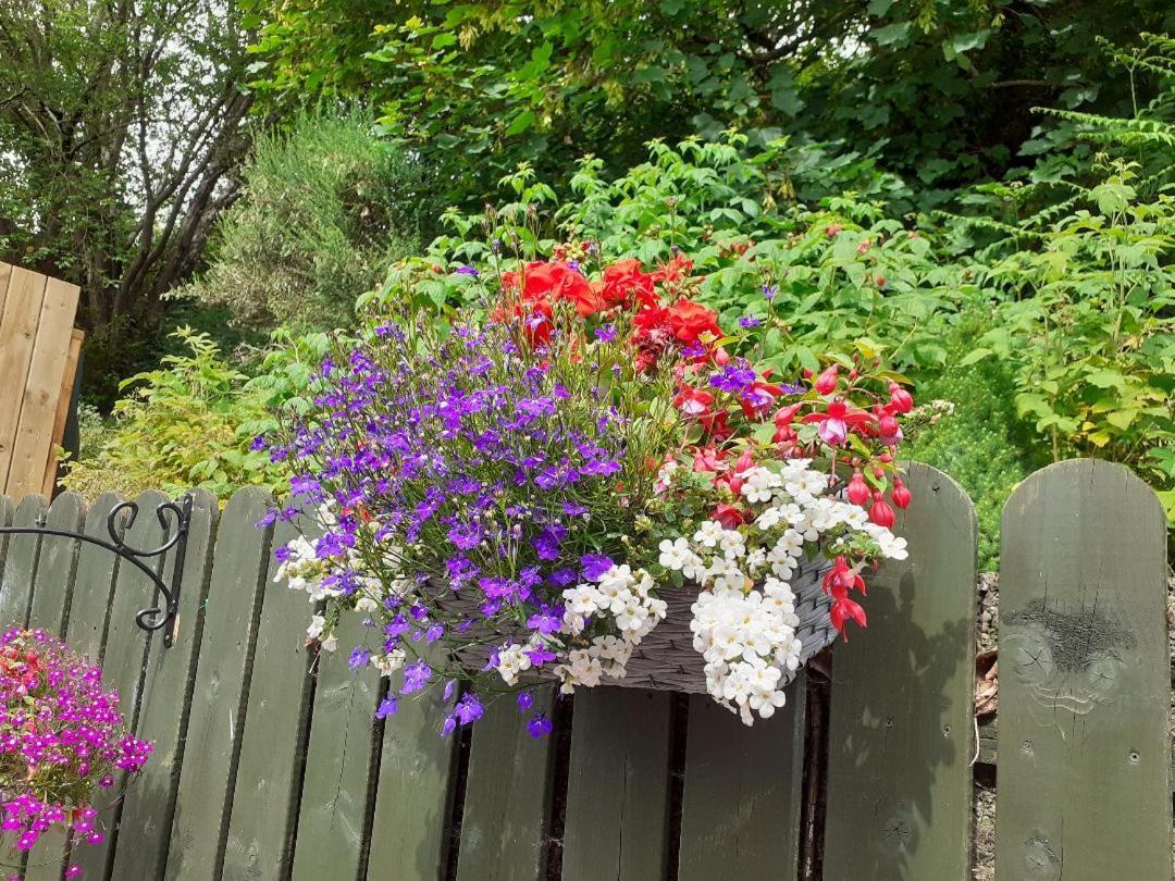Torrent Cottage Coalisland ภายนอก รูปภาพ